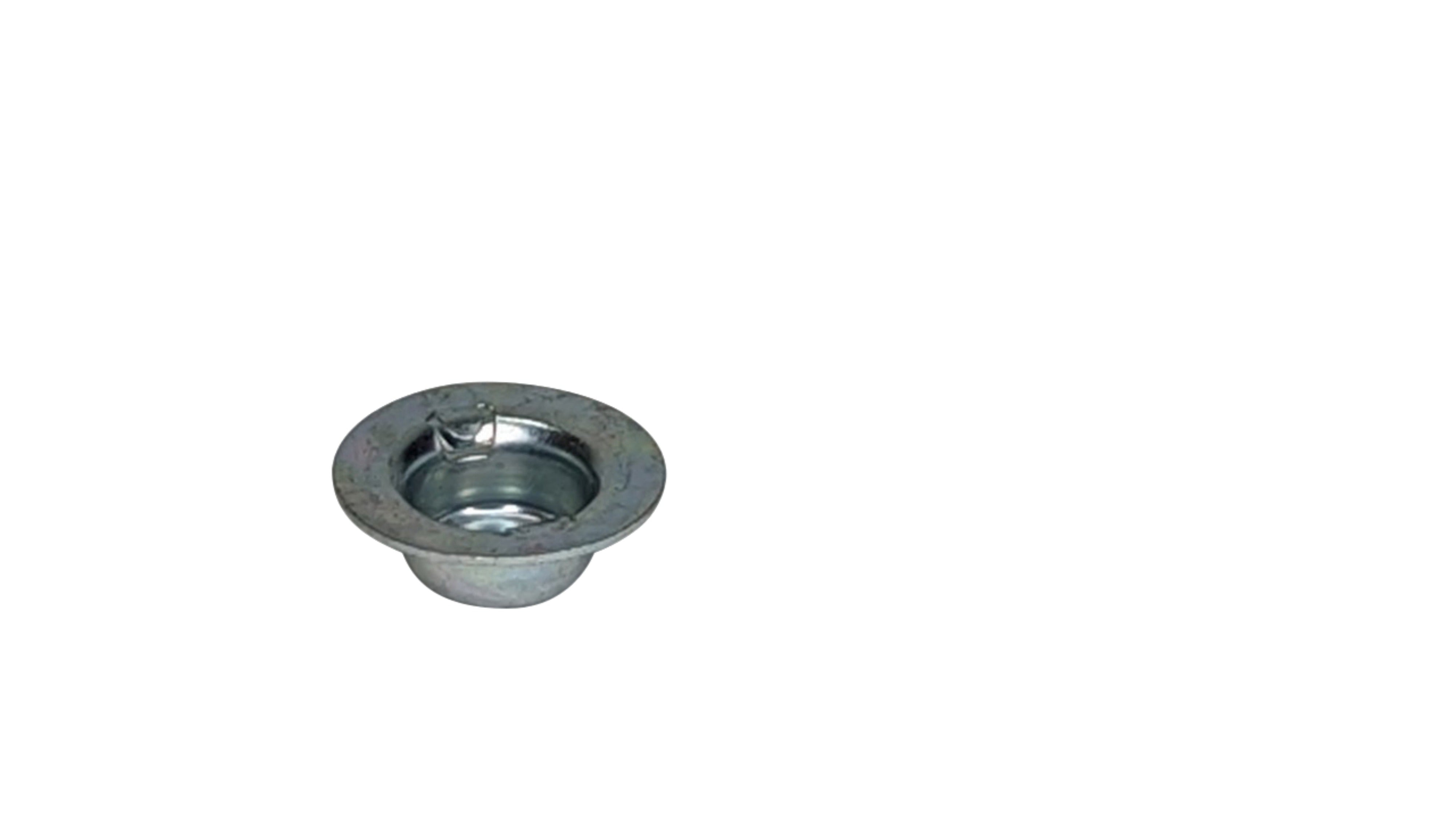 Axle Cap For Electro Groom